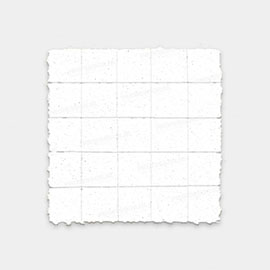 LSZ Blotters