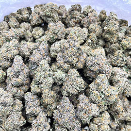 Peach Tree Weed